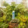 Appalachian Standard's THCA Flower Berry Blue pre-roll tube standing up right surrounded by plants