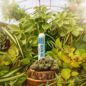 Appalachian Standard's THCA Flower Berry Blue pre-roll tube standing up right surrounded by plants